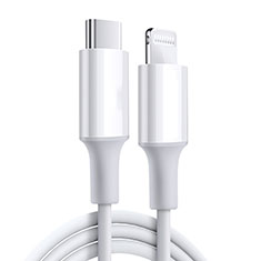 Apple iPad Air 2用USBケーブル 充電ケーブル C02 アップル ホワイト