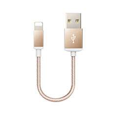 Apple iPad Mini 3用USBケーブル 充電ケーブル D18 アップル ゴールド