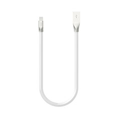 Apple iPad Pro 12.9 (2018)用USBケーブル 充電ケーブル C06 アップル ホワイト
