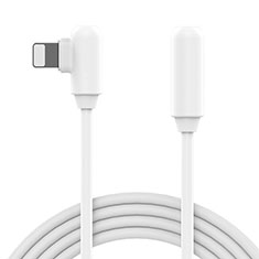 Apple iPhone 11用USBケーブル 充電ケーブル D22 アップル ホワイト