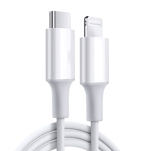 Apple iPad Air 4 10.9 (2020)用USBケーブル 充電ケーブル C02 アップル ホワイト