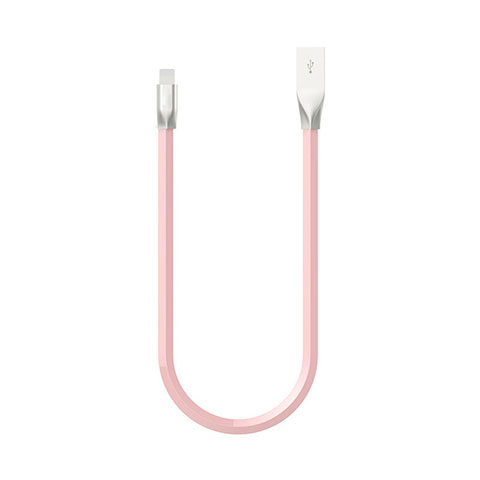 Apple iPad Air 4 10.9 (2020)用USBケーブル 充電ケーブル C06 アップル ピンク