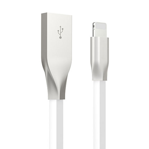 Apple iPad Mini 4用USBケーブル 充電ケーブル C05 アップル ホワイト