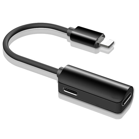 Apple iPad New Air (2019)用Lightning USB 変換ケーブルアダプタ H01 アップル ブラック