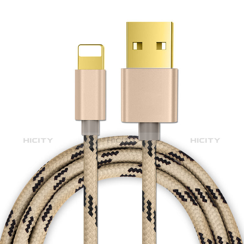 Apple iPad 10.2 (2020)用USBケーブル 充電ケーブル L01 アップル ゴールド