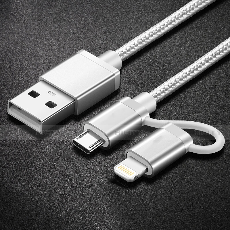 Apple iPad 10.2 (2020)用Lightning USBケーブル 充電ケーブル Android Micro USB C01 アップル シルバー