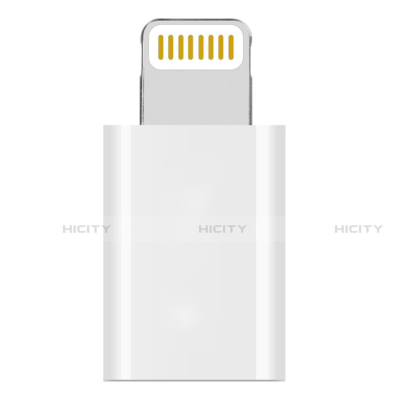 Apple iPad 10.2 (2020)用Android Micro USB to Lightning USB アクティブ変換ケーブルアダプタ H01 アップル ホワイト