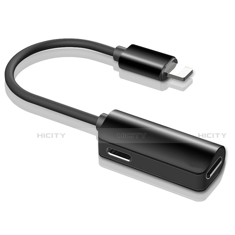 Apple iPad 10.2 (2020)用Lightning USB 変換ケーブルアダプタ H01 アップル ブラック