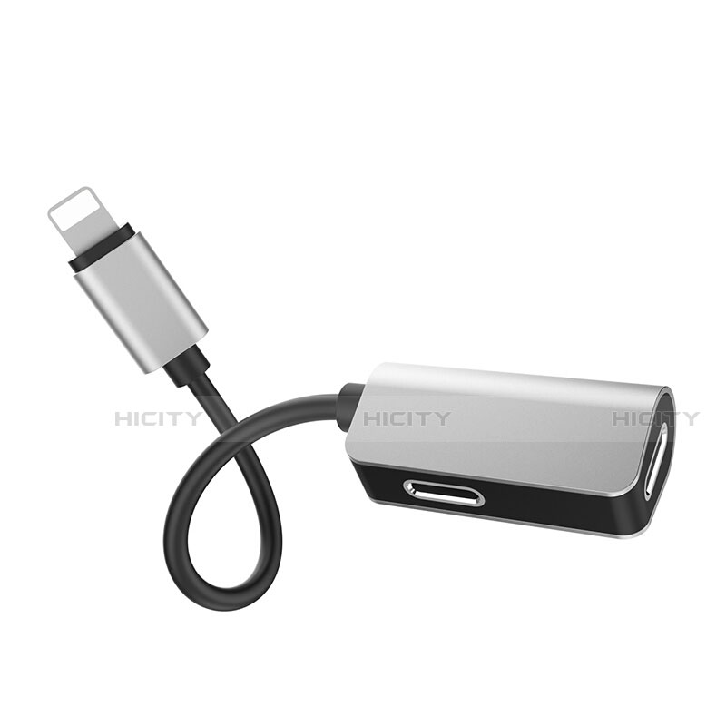 Apple iPad 10.2 (2020)用Lightning USB 変換ケーブルアダプタ H01 アップル 