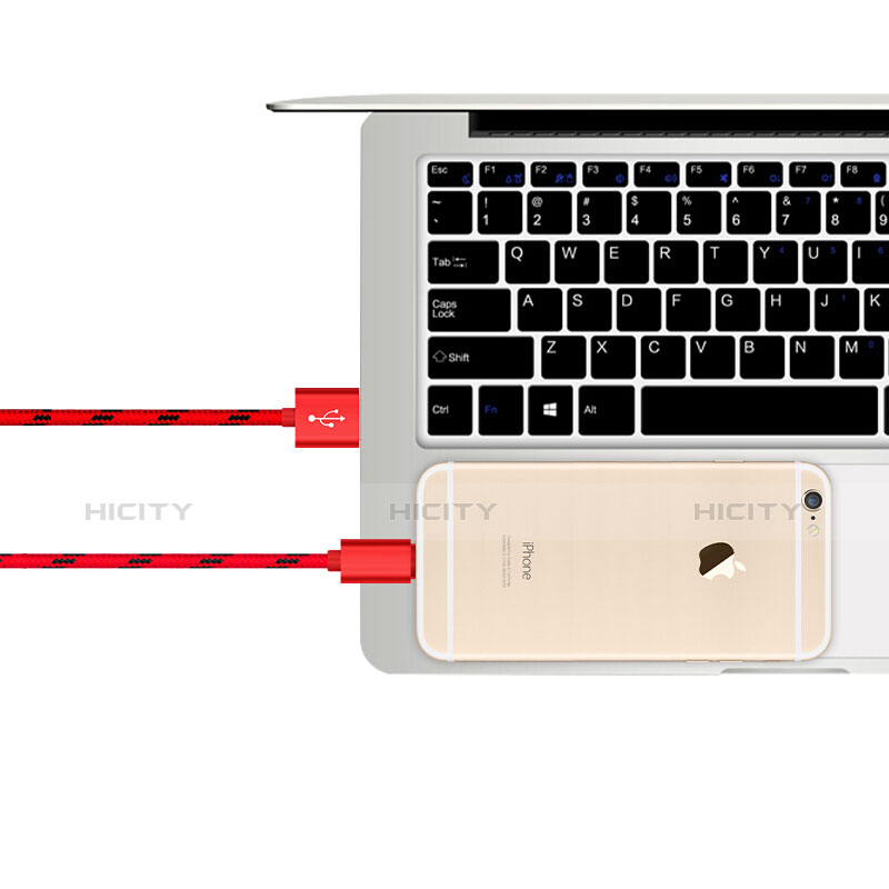 Apple iPad Air 2用USBケーブル 充電ケーブル L10 アップル レッド