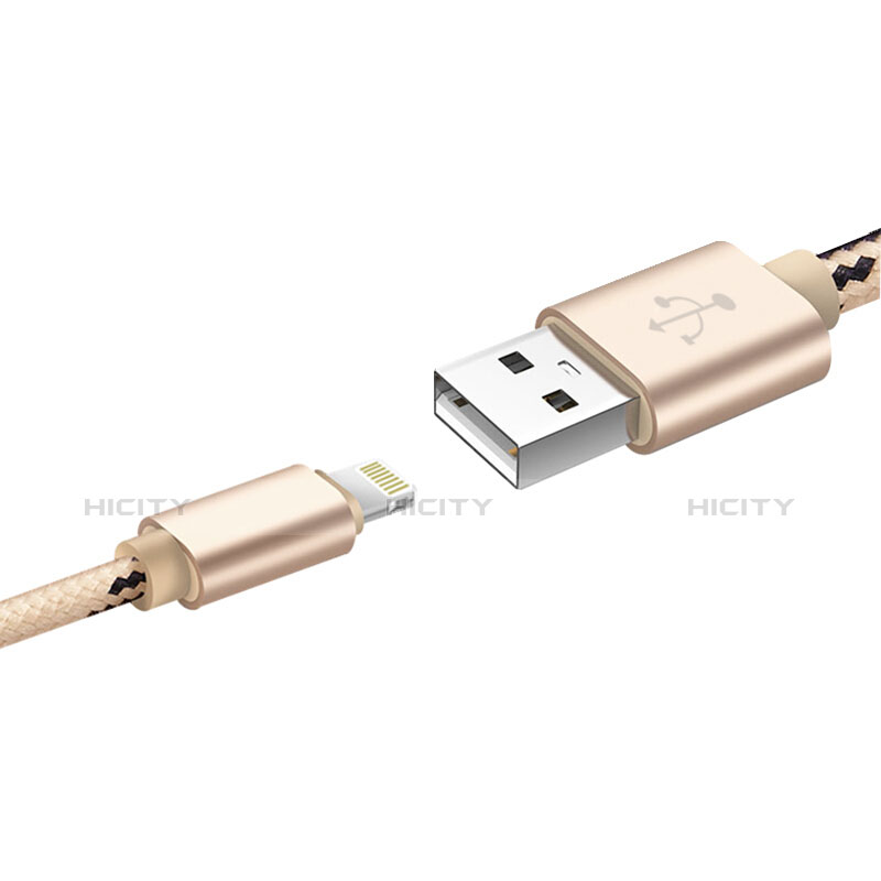 Apple iPad Air 2用USBケーブル 充電ケーブル L10 アップル ゴールド