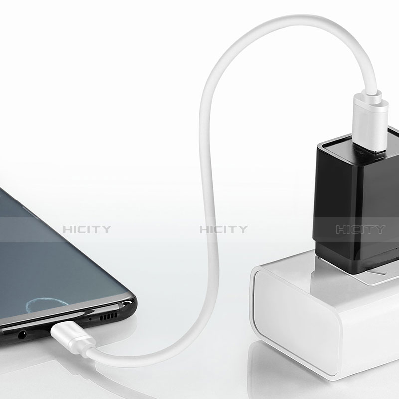 Apple iPad Air 5 10.9 (2022)用Type-Cケーブル 充電ケーブルAndroidユニバーサル T11 アップル ホワイト