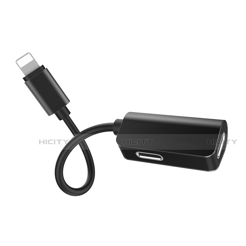 Apple iPad Air用Lightning USB 変換ケーブルアダプタ H01 アップル 