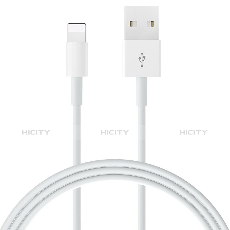 Apple iPad Mini 4用USBケーブル 充電ケーブル L09 アップル ホワイト