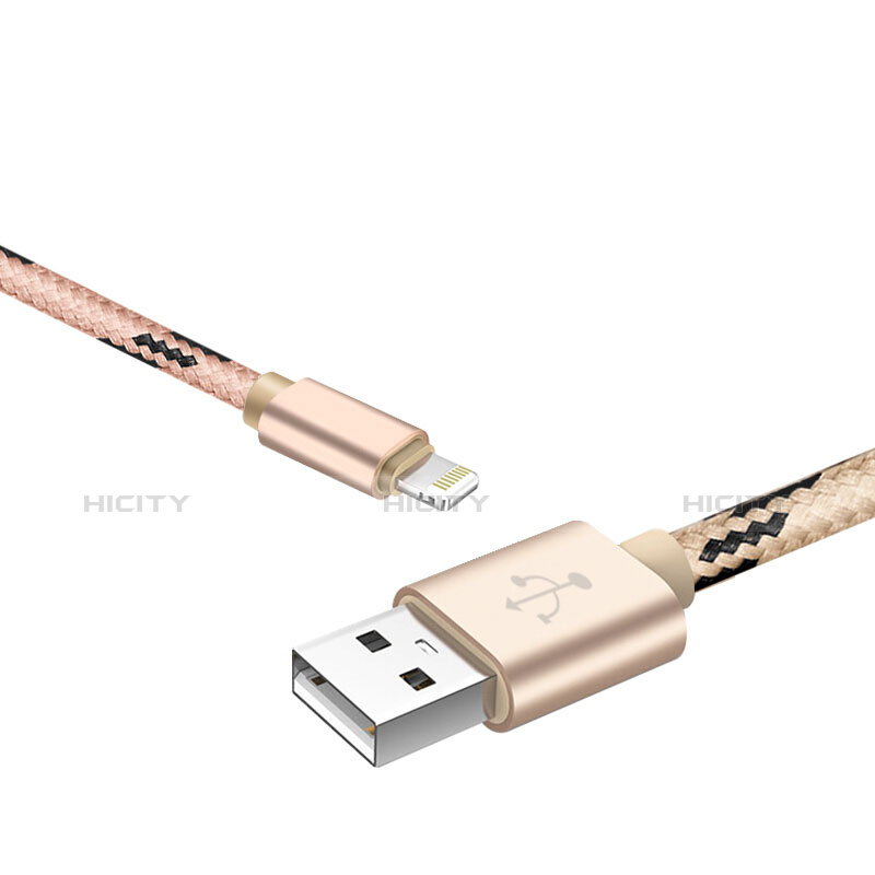 Apple iPad Mini 4用USBケーブル 充電ケーブル L10 アップル ゴールド