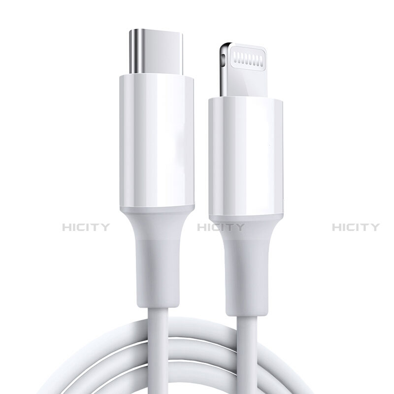 Apple iPad Mini 4用USBケーブル 充電ケーブル C02 アップル ホワイト