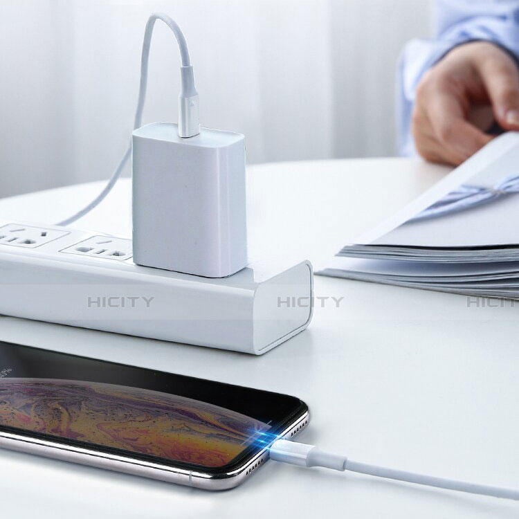 Apple iPad Mini 4用USBケーブル 充電ケーブル C02 アップル ホワイト