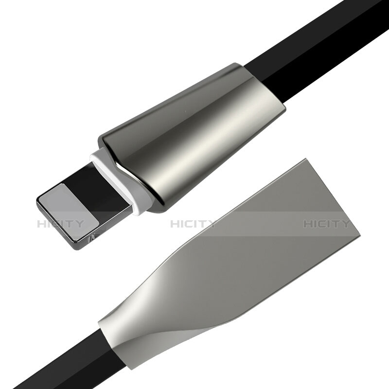 Apple iPad Pro 10.5用USBケーブル 充電ケーブル L06 アップル ブラック