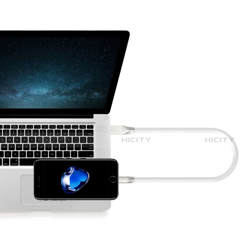 Apple iPhone 12 Mini用USBケーブル 充電ケーブル C06 アップル 