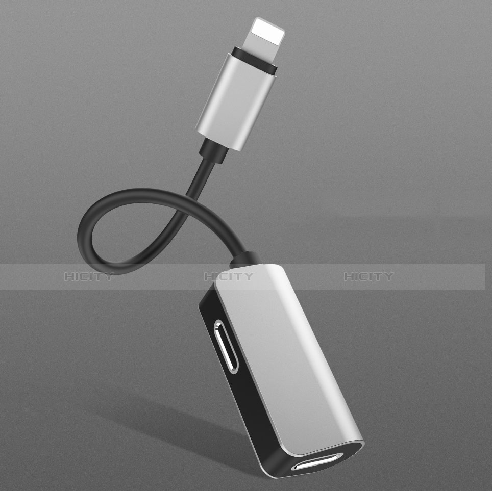 Apple iPhone 13 Pro用Lightning USB 変換ケーブルアダプタ H01 アップル 