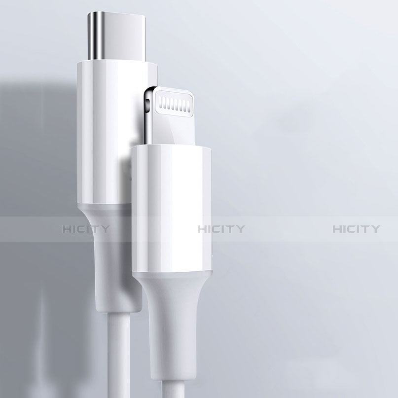 Apple iPhone 5C用USBケーブル 充電ケーブル C02 アップル ホワイト